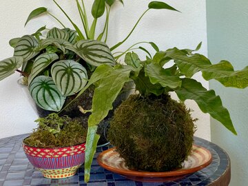 Drehscheibe mit frisch gedrehter Keramik