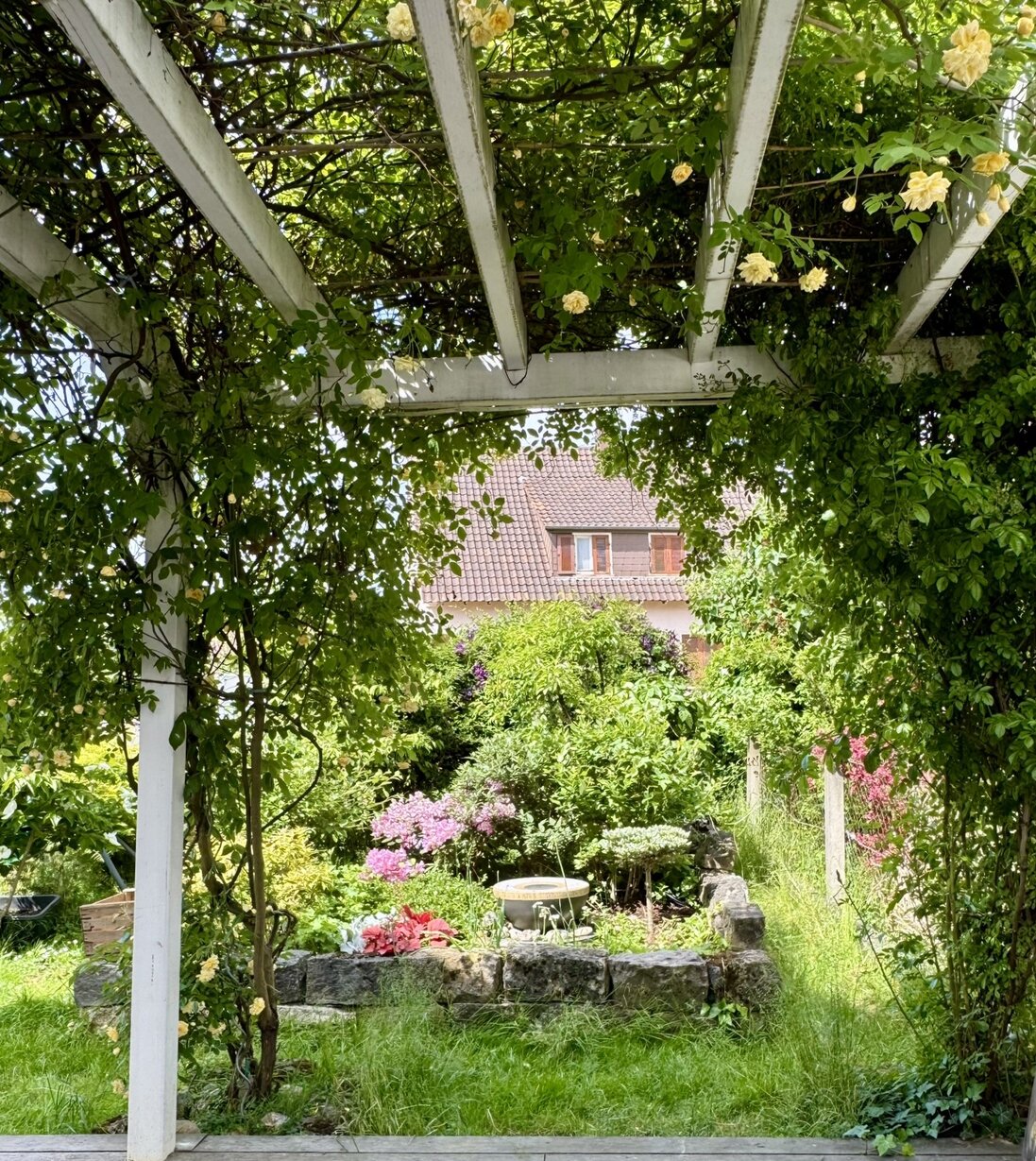 Gestaltetes Beet mit harmonischer Bepflanzung